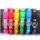 Kit Coleiras Para Cães Pequenos E Gatos Ajustáveis C/ Guizo