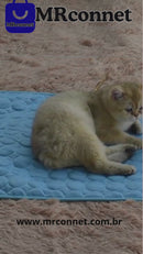 Tapete de resfriamento para cães e gatos, tapete de verão para cães e gatos, animais de estimação